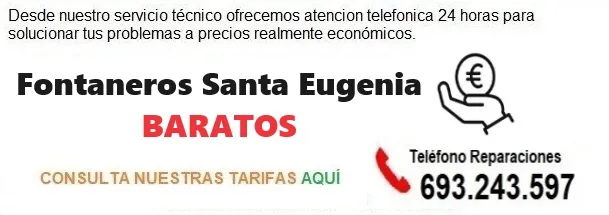 Fontaneros Santa Eugenia precios
